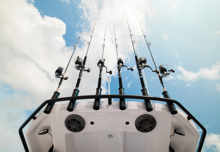 29 CCX Fishing Targa Arch