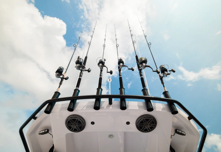 29 CCX Fishing Targa Arch