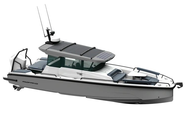 AX29XC PG