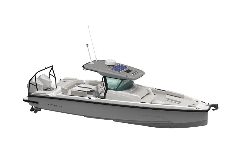 AX29 0000 CCX Platinum grey