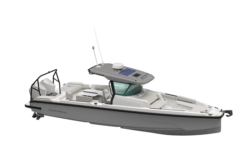 AX29 0000 CCX Platinum grey
