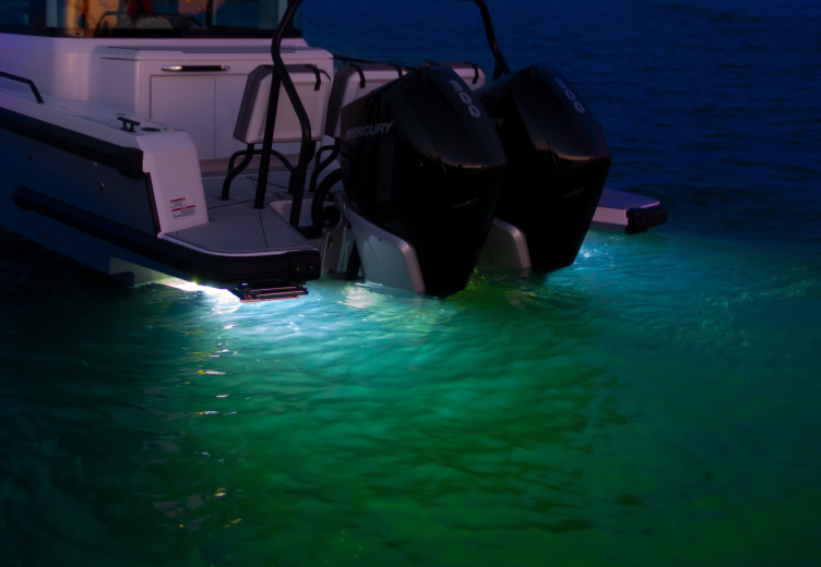 Underwater lights 2 in 1 dual color DSC08089