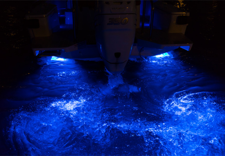 conf Underwater lights R7A2579
