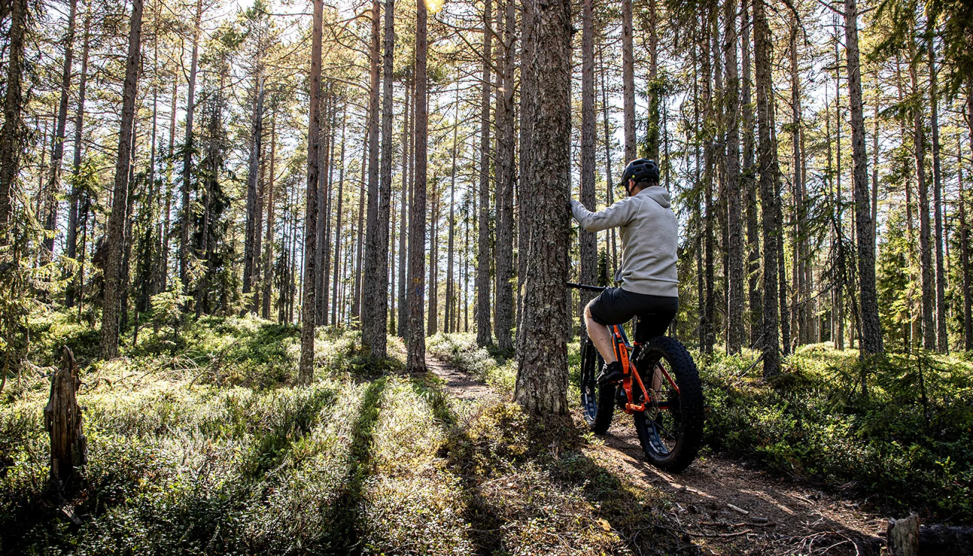 company people janne