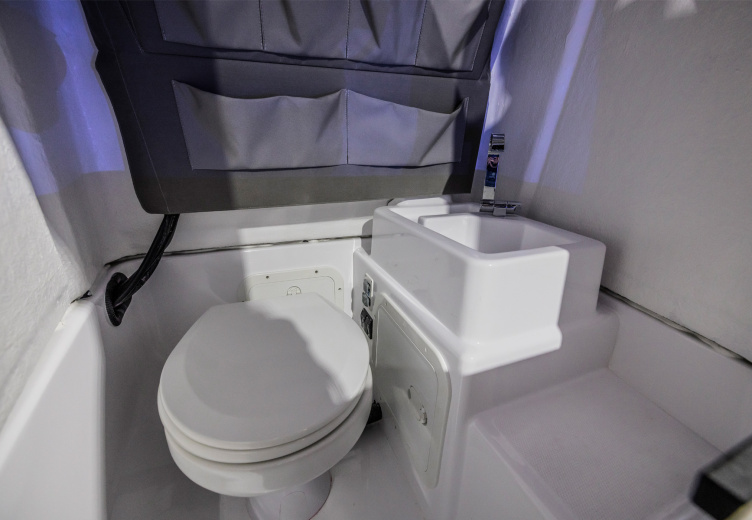 electrictoilet