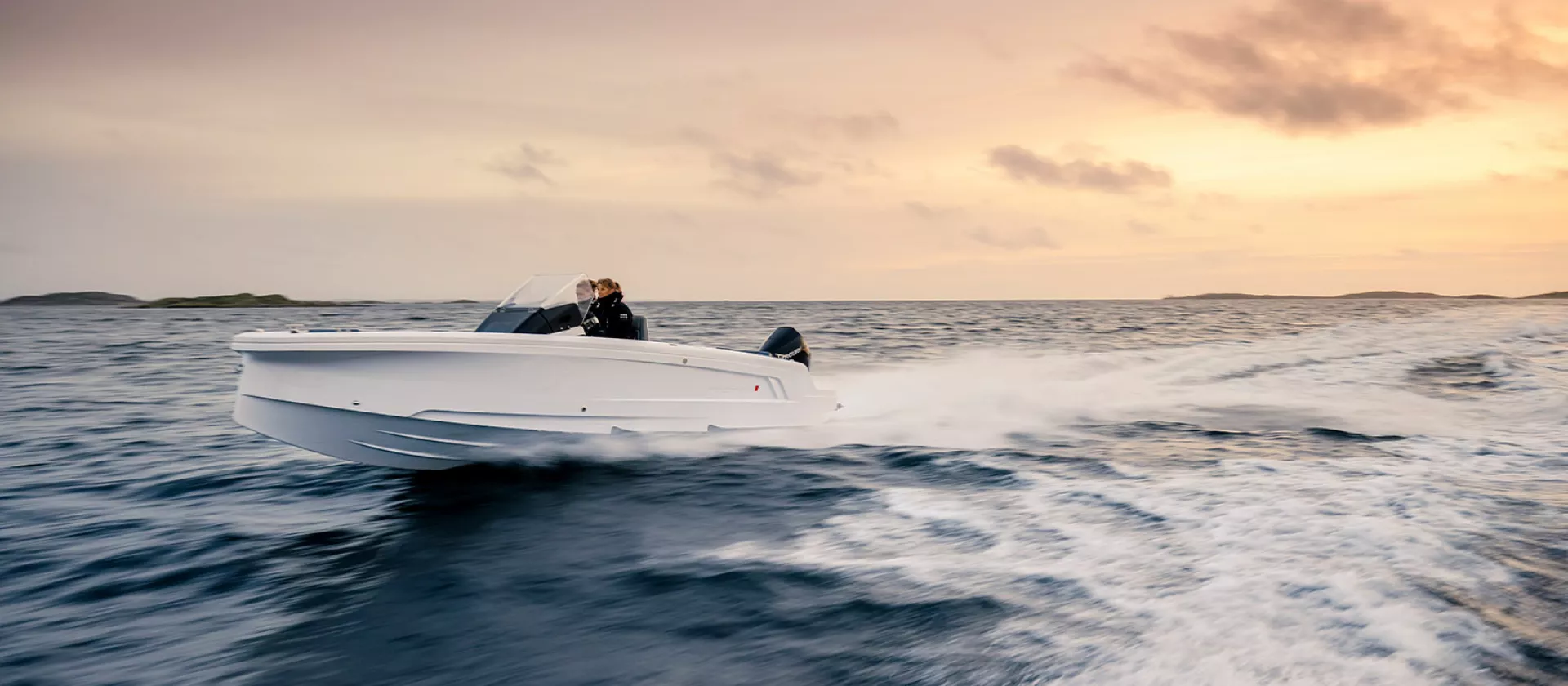 seal story collage22