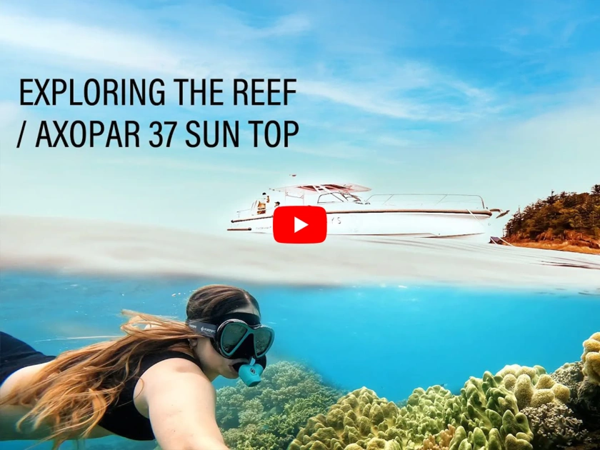 Whitsunday Islands Adventure   Axopar 37 Sun Top