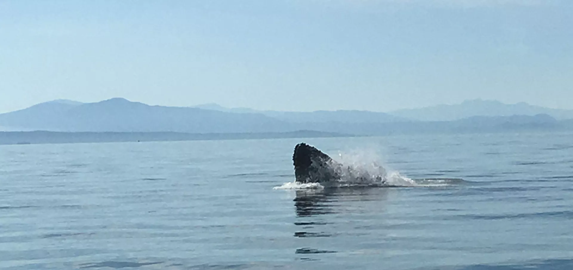 Axopar Gulf Islands facts 3