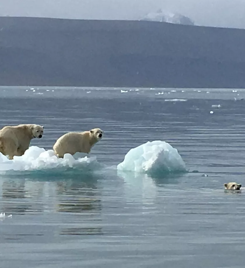 Axopar moments 0002 Svalbard portrait 3