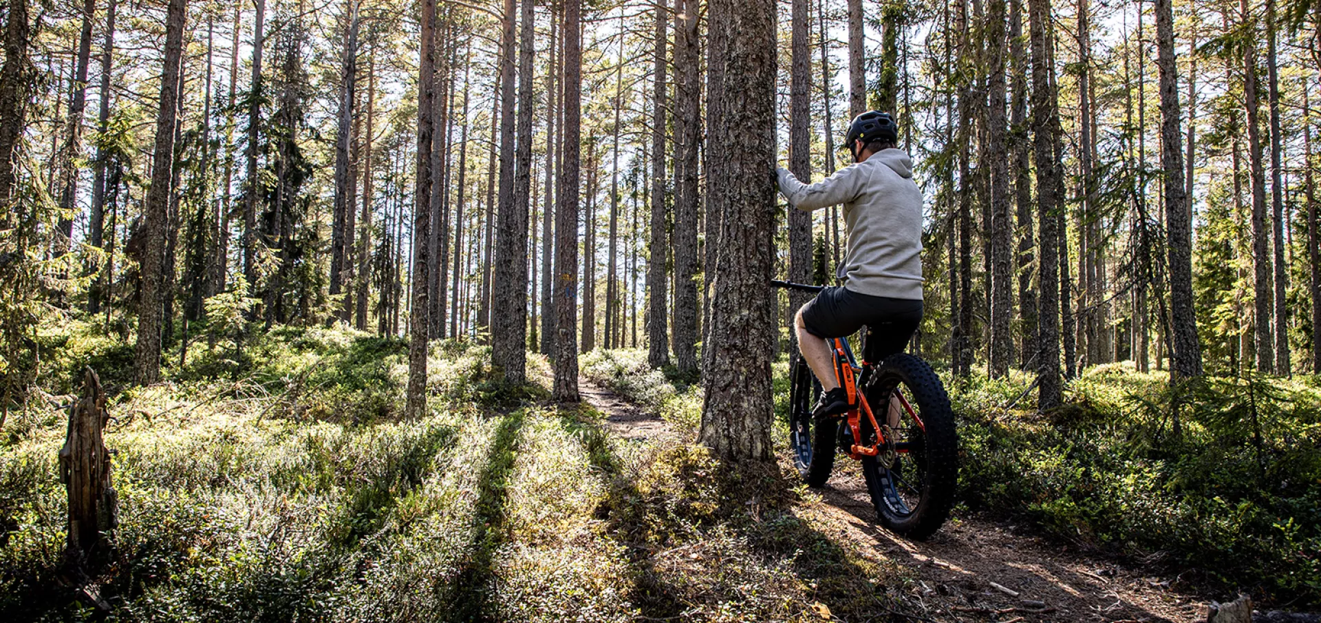 Adventure biking slider 3 v2