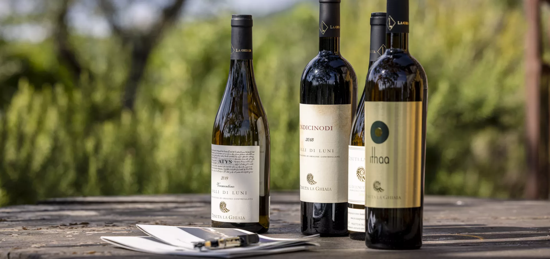 Mediterranean Getaway Wineyard Q6A1611