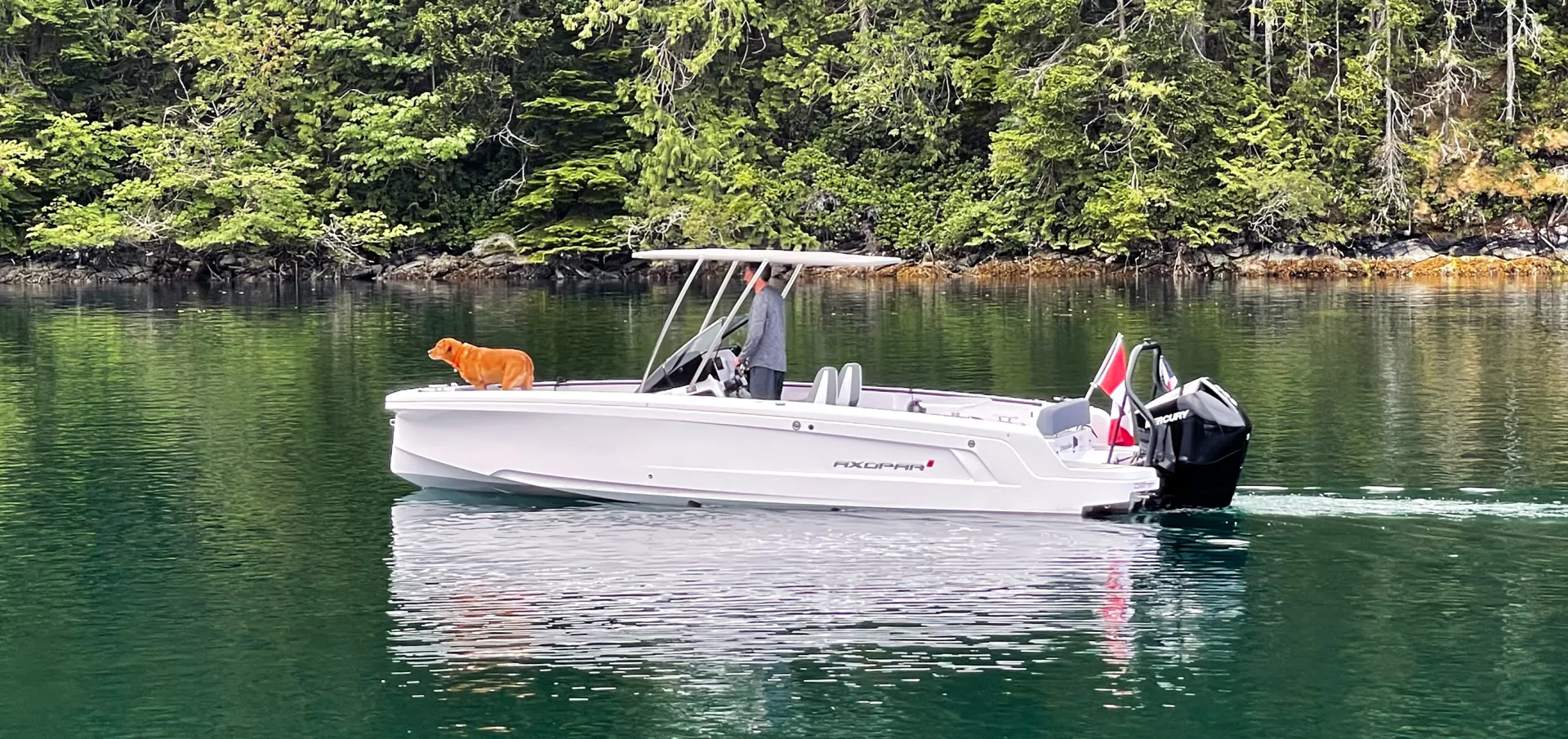 axoparing in british columbia slideshow 4