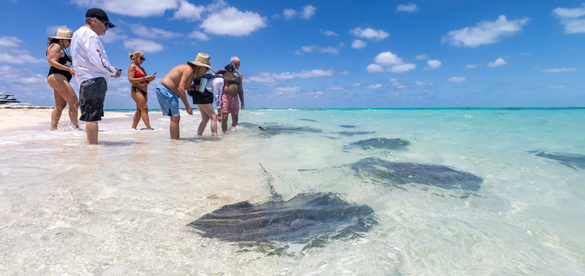 Untitled 6 0000 6Y2A2980