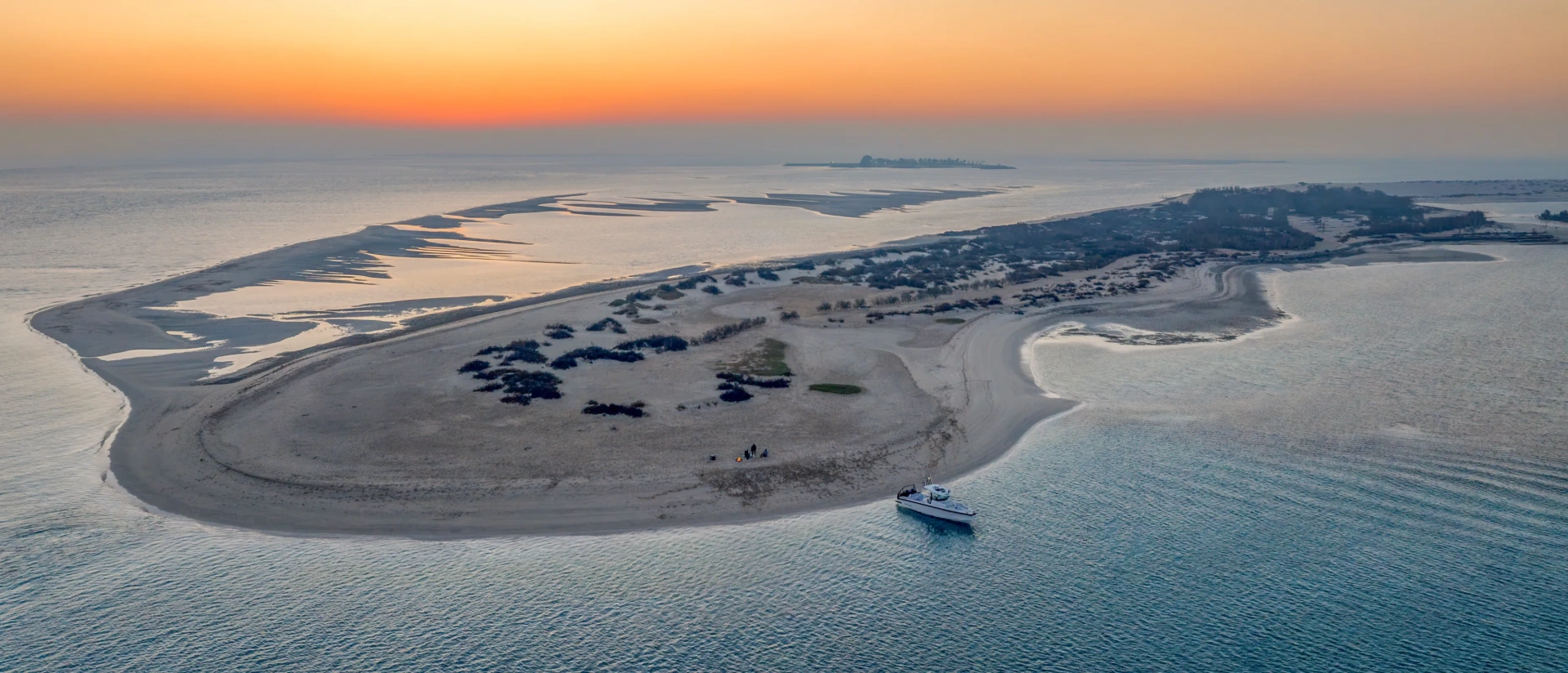 Desert Delight Banner